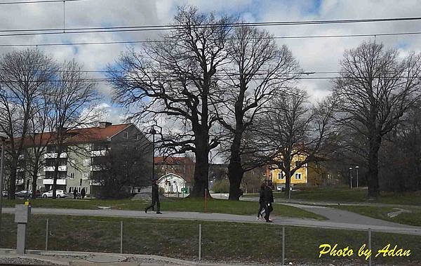R0034607_2.jpg