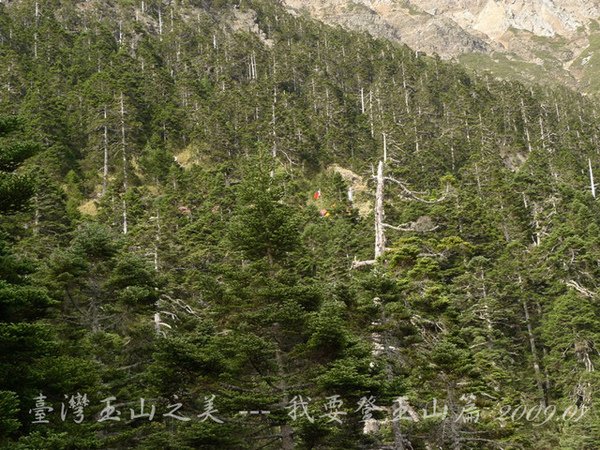 孟祿亭→排雲山莊