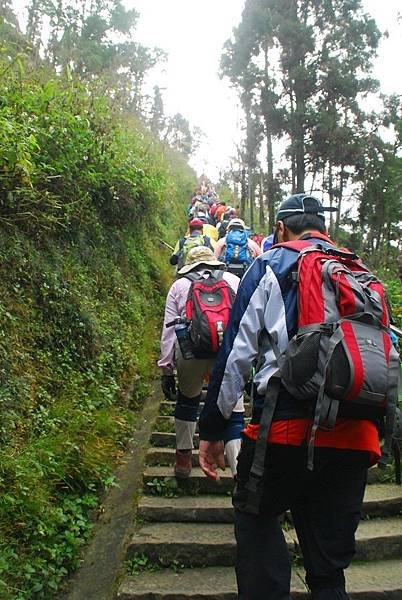 20141130仙山縱走神桌山【台南南青】 0016.jpg