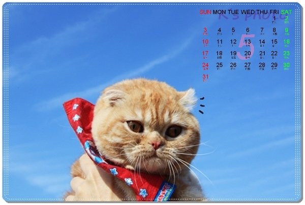 奶油5月桌布.jpg