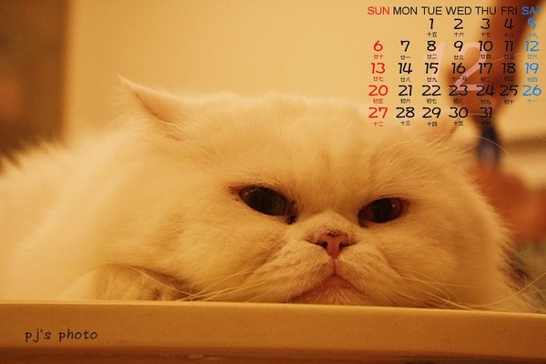 man12月桌曆.jpg