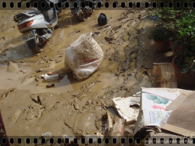 梅姬甩尾 我家淹水10.JPG