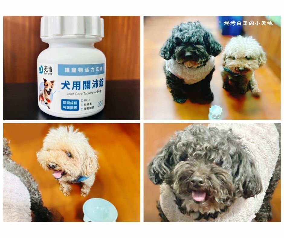 焗烤白玉的小天地 (55).jpg