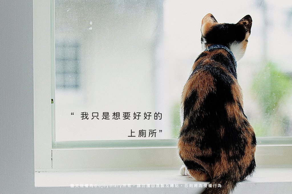 一隻三花貓背對坐在窗邊，望向戶外，圖片文字寫著「我只是想要好好的上廁所」，呈現貓咪渴望舒適如廁空間的心聲