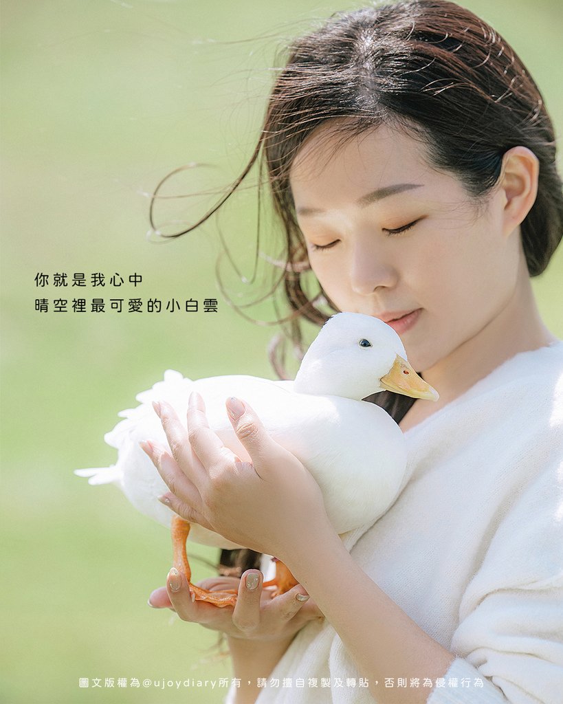 柯爾鴨寵物寫真｜自然風格全家福攝影紀錄，可愛到像一朵白雲♡ 