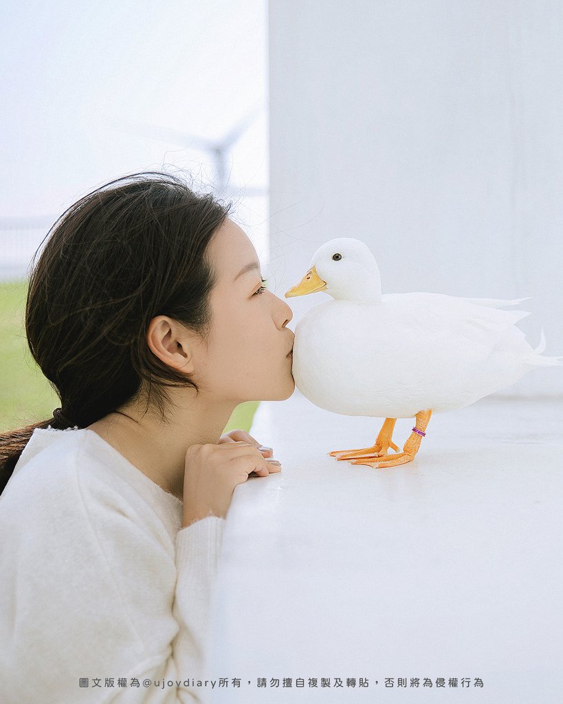 飼主親吻柯爾鴨特寫畫面｜自然風格寵物全家福寫真推薦