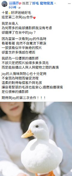 柯爾鴨寫真拍攝後，飼主給好毛寵物寫真五星好評寵物寫真推薦!