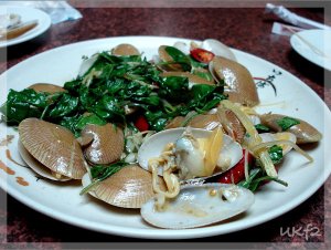 DSC02789.jpg