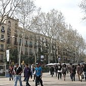 DSCN4173.JPG