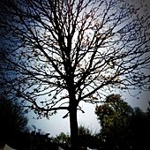 IMG_0220.JPG