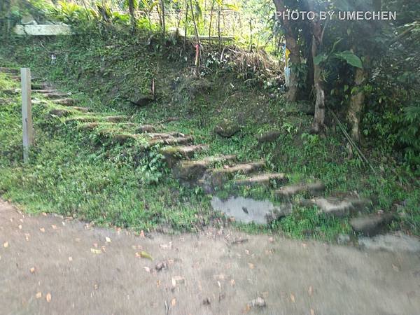 IMG_20190629_165221.jpg
