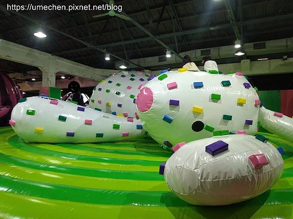 IMG_20191228_134818.jpg