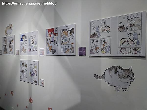 IMG_20200615_122056.jpg