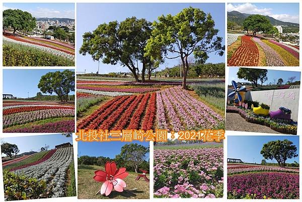 北投社三層崎公園2021花季.jpg