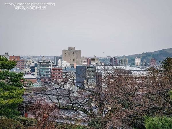 P_20230318_083433.jpg