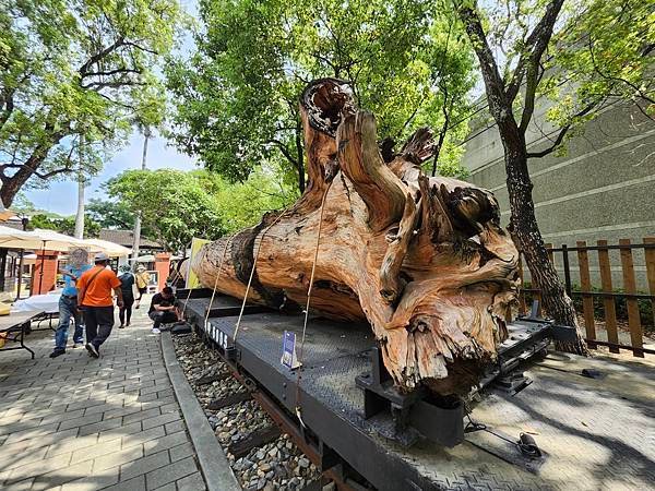 【嘉義市】阿里山森林鐵路車庫園區：鐵道迷必訪，月台、鐵道仍使