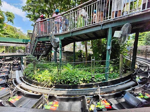 【新加坡聖淘沙】斜坡滑車、空中吊椅：小朋友到阿公阿嬤都能上手
