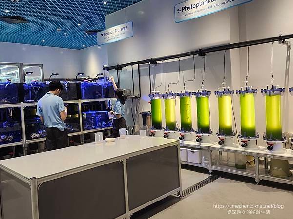 【新加坡】S.E.A.海洋館：聖淘沙必訪東南亞最大水族館，門