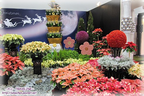 爭豔館-聖誕花宴-繽紛聖誕瘋台北-6.jpg