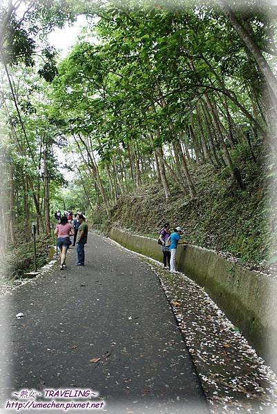 DSC03165.jpg