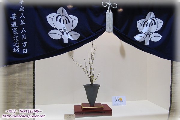 爭豔館-華道池坊展-3.jpg