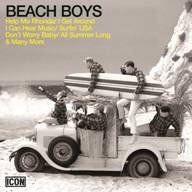 The Beach Boys.jpg