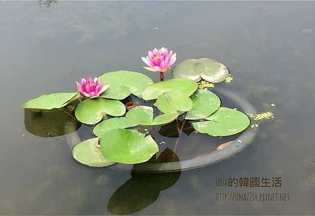 宫南池01.jpg