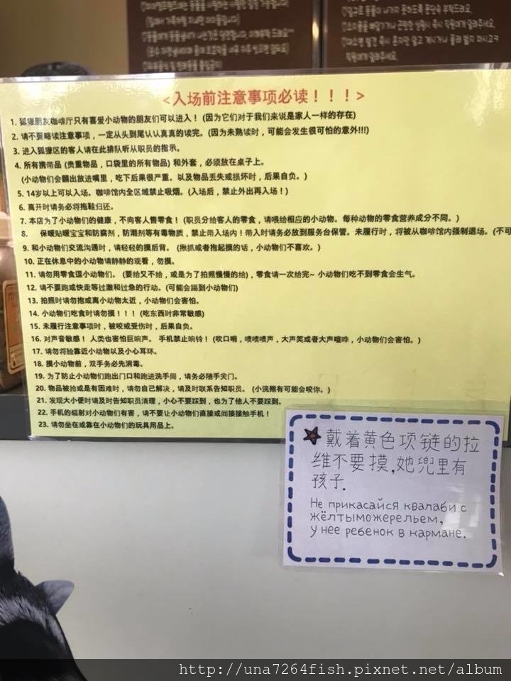 미어켓 카페 04.jpg
