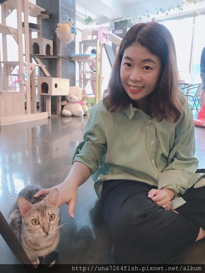 미어켓 카페 18.jpg
