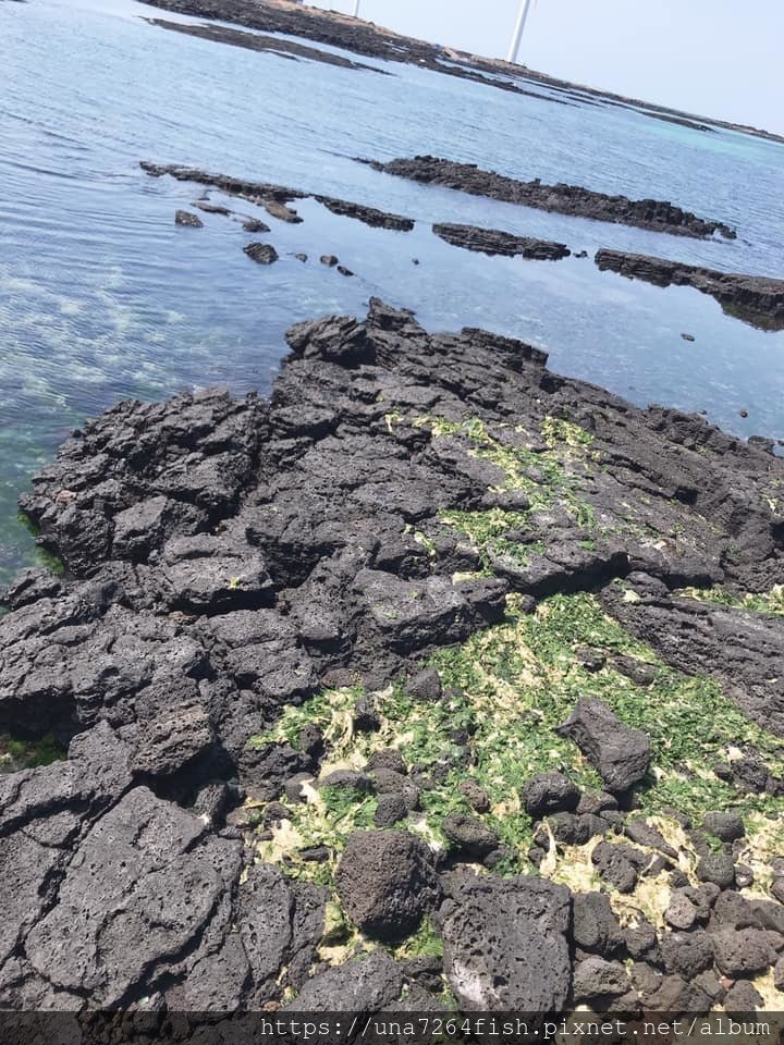 新昌風車海岸 05.jpg