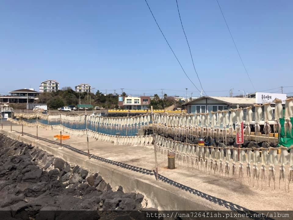新昌風車海岸 02.jpg
