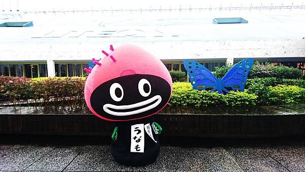 ⑧鰻寶藍蝴蝶.jpg