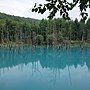 美瑛富良野 (106)