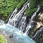 美瑛富良野 (121)