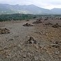 美瑛富良野 (136)