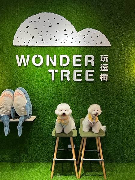 中壢桌遊景觀咖啡廳【Wonder Tree 玩逗樹咖啡中原店