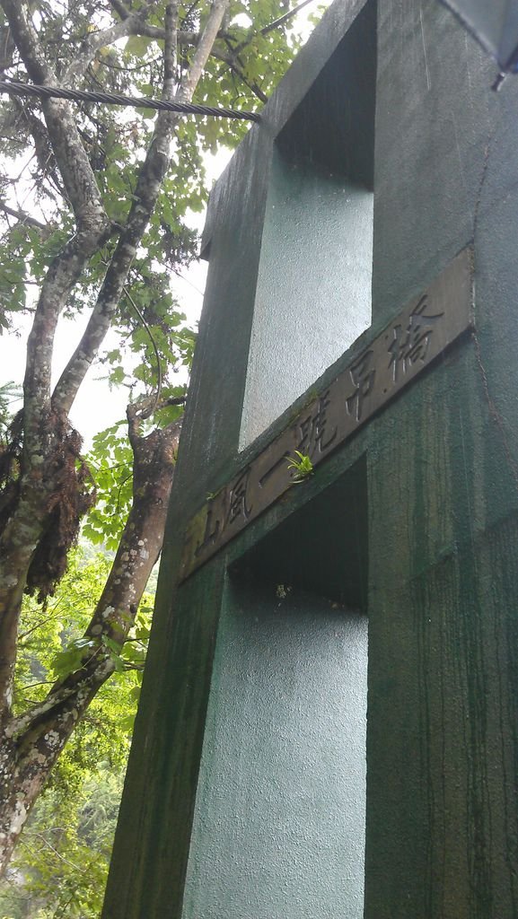 IMAG1111