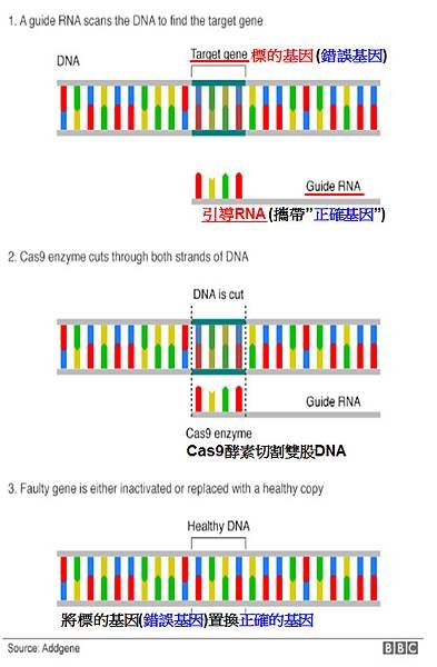 CRISPR-WORK.tif