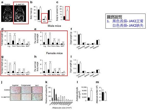 fig.2.tif