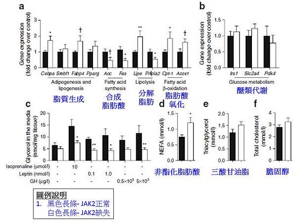 fig.4.tif