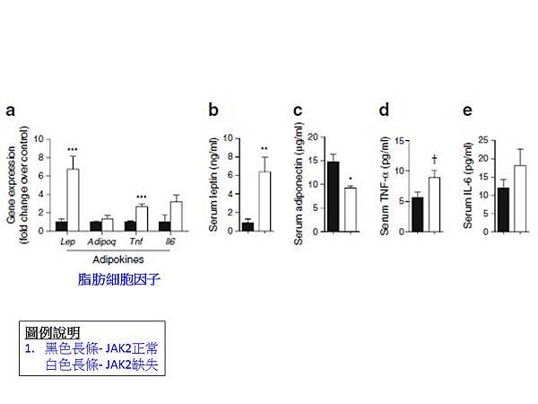 fig.5.tif