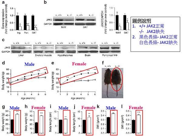 fig.1.tif