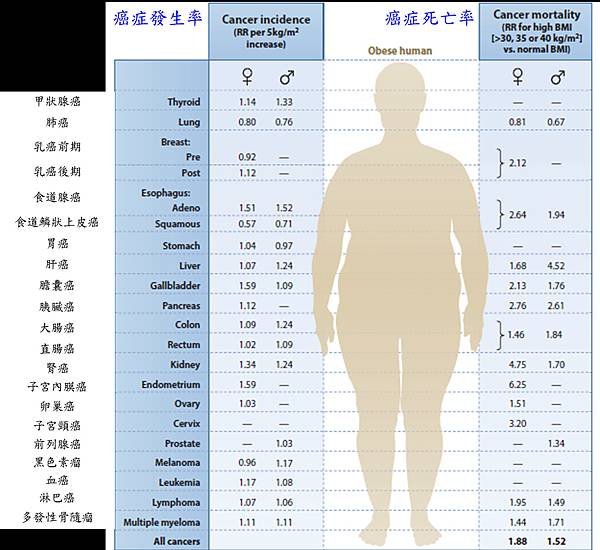 obesity and cancer.tif