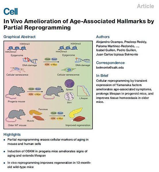細胞-逆轉年齡paper.jpg