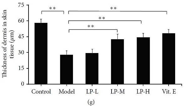 figure 2.jpg