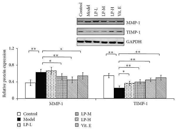 figure 3.jpg