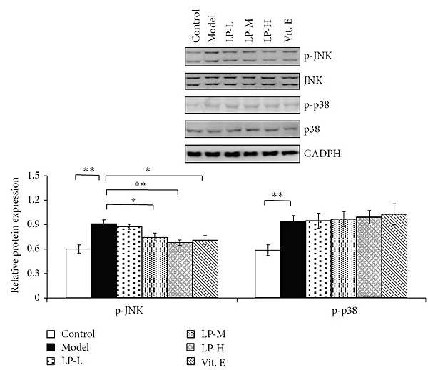 figure 4.jpg