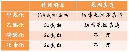 化學修飾方式.jpg