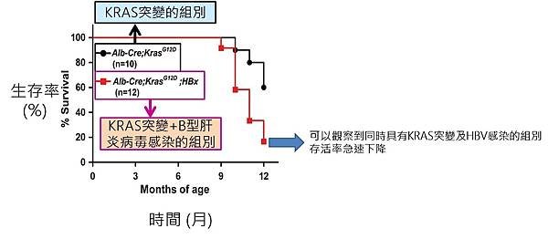 肝癌-生存率.jpg