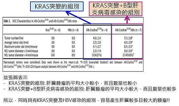 肝癌-比較腫瘤大小.jpg